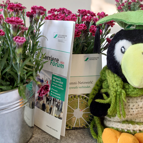 Fav 20250603 Abraxas Blumen Booklet Folder KF